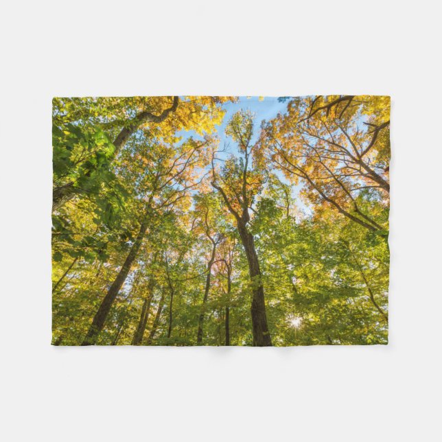 Fall in a Forest in Amesbury, Massachusetts Fleece Blanket (Front (Horizontal))