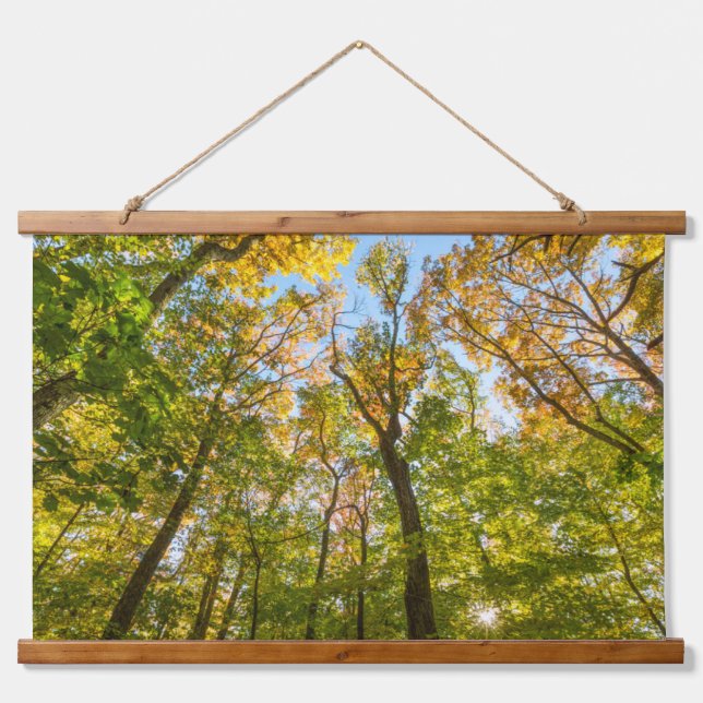 Fall in a Forest in Amesbury, Massachusetts Hanging Tapestry (Front)