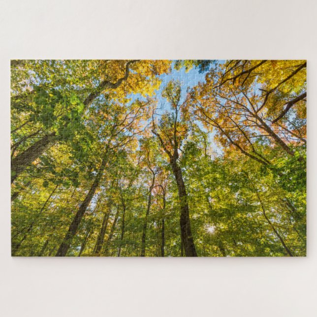 Fall in a Forest in Amesbury, Massachusetts Jigsaw Puzzle (Horizontal)