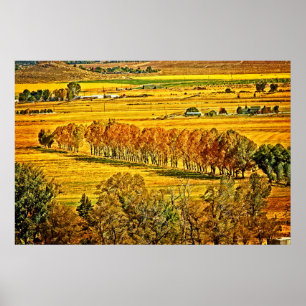Fall In Carson Valley  Poster