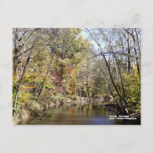 Fall in Caryville, Tennessee Postcard