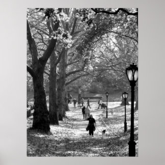 Fall in Central Park 06 25 Poster