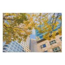 Fall in City