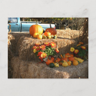 Fall in Ellington, CT. Postcard