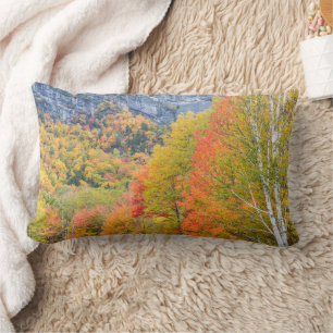 Fall in Grafton Notch State Park, Maine Lumbar Cushion