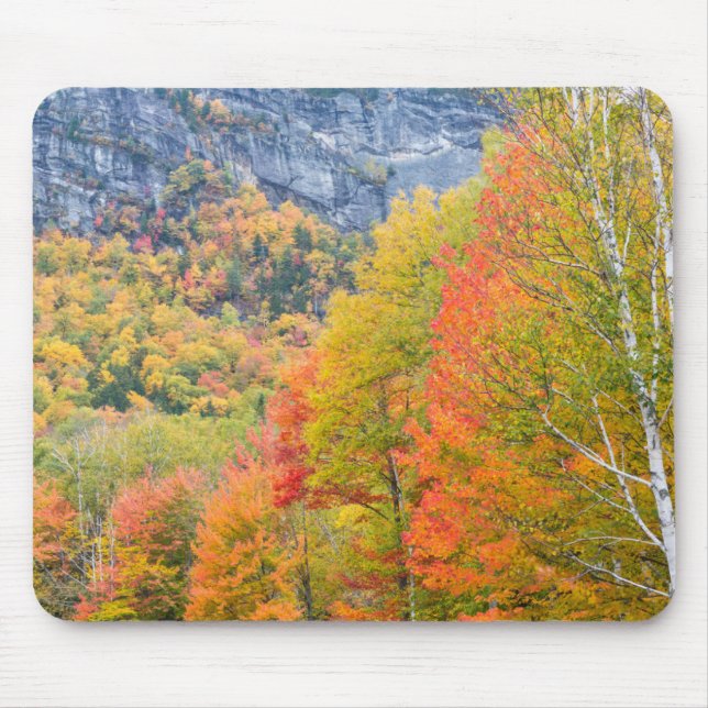 Fall in Grafton Notch State Park, Maine Mouse Pad (Front)