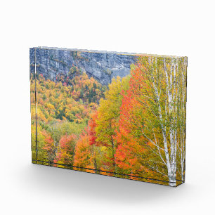 Fall in Grafton Notch State Park, Maine Photo Block