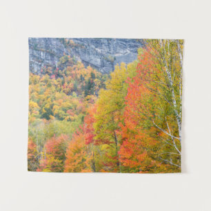 Fall in Grafton Notch State Park, Maine Tapestry