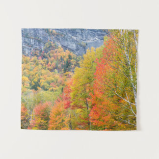 Fall in Grafton Notch State Park, Maine Tapestry