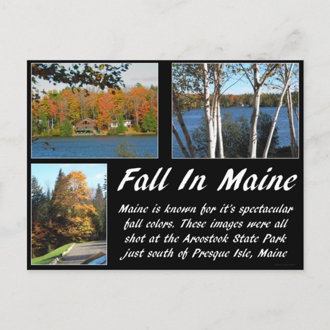 Fall In Maine Postcard (Front)