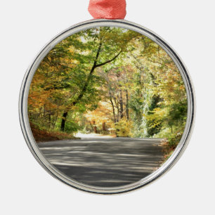 Fall in New England Back Road Metal Ornament