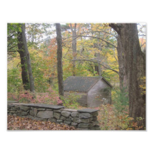 Fall In New England Photo Print