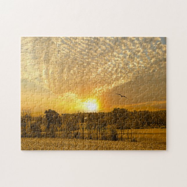 Fall in Ohio. Jigsaw Puzzle (Horizontal)