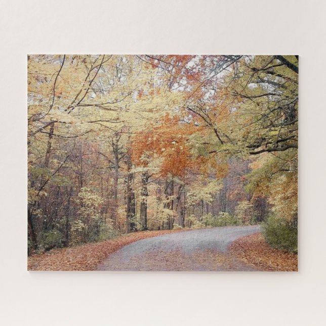 Fall in Pure Michigan Colourful Leaves Jigsaw Puzzle (Horizontal)