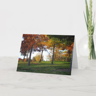 Fall in Reno Nevada Notecard