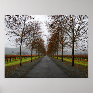 Fall in Saint Helena Poster