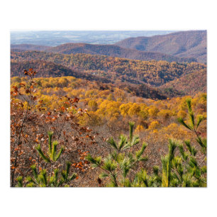 Fall in Shenandoah National Park Photo Print