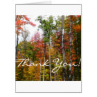 Fall in the Forest Colourful Autumn Photography