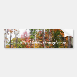 Fall in the Forest Colourful Autumn Photography Bumper Sticker