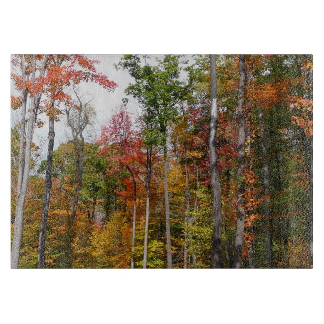 Fall in the Forest Colourful Autumn Photography Cutting Board (Front)