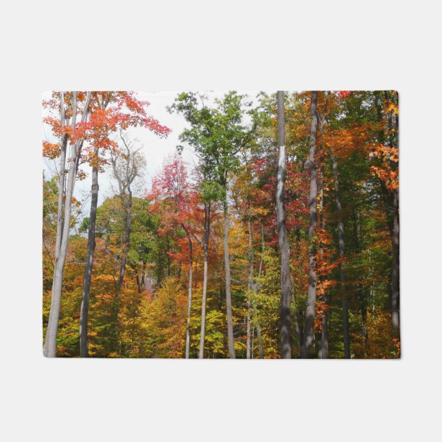 Fall in the Forest Colourful Autumn Photography Doormat (Front)