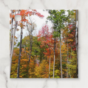 Fall in the Forest Colourful Autumn Photography Favour Tags