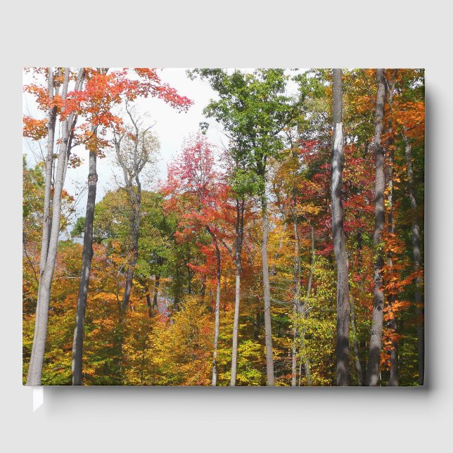 Fall in the Forest Colourful Autumn Photography Guest Book (Front)