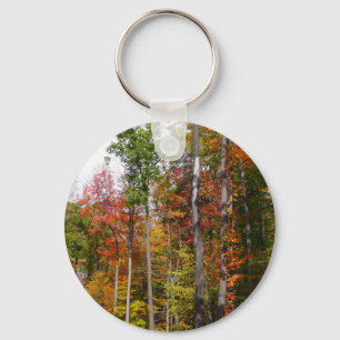 Fall in the Forest Colourful Autumn Photography Key Ring