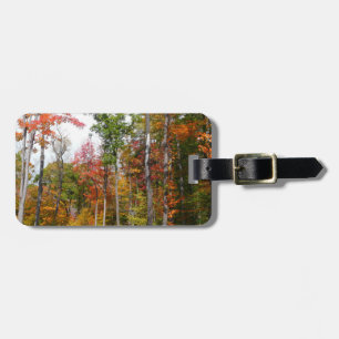 Fall in the Forest Colourful Autumn Photography Luggage Tag
