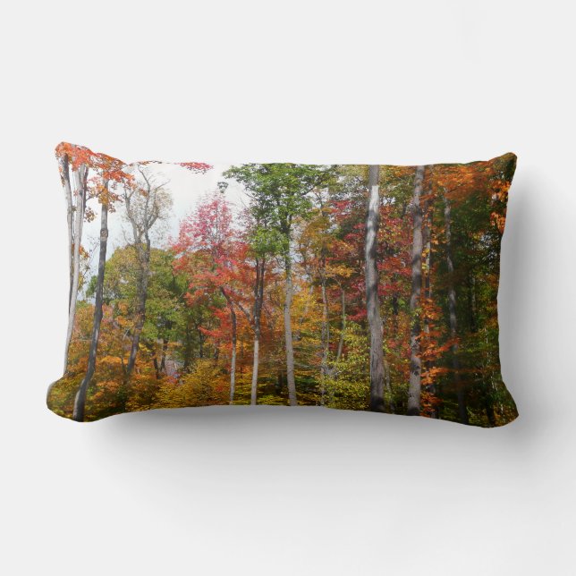 Fall in the Forest Colourful Autumn Photography Lumbar Cushion (Front)