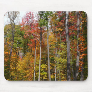 Fall in the Forest Colourful Autumn Photography Mouse Pad