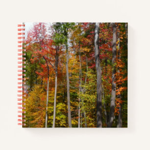 Fall in the Forest Colourful Autumn Photography Notebook