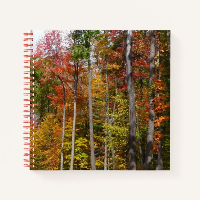 Fall in the Forest Colourful Autumn Photography Notebook (Front)