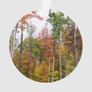 Fall in the Forest Colourful Autumn Photography Ornament