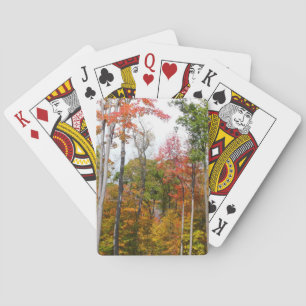 Fall in the Forest Colourful Autumn Photography Playing Cards