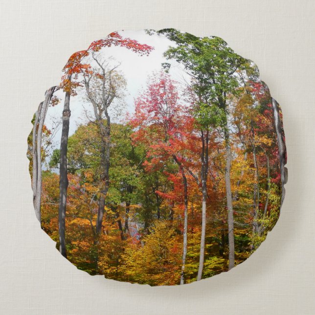 Fall in the Forest Colourful Autumn Photography Round Cushion (Front)