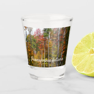 Fall in the Forest Colourful Autumn Photography Shot Glass