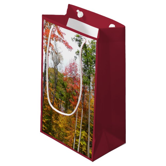 Fall in the Forest Colourful Autumn Photography Small Gift Bag (Front Angled)