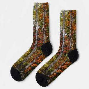 Fall in the Forest Colourful Autumn Photography Socks