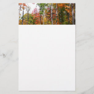 Fall in the Forest Colourful Autumn Photography Stationery