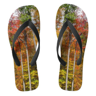 Fall in the Forest Colourful Autumn Photography Thongs
