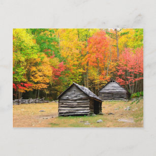 Fall in the Great Smoky Mountains Postcard