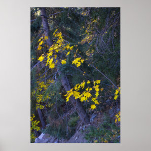 Fall in the Mountains 4 Poster