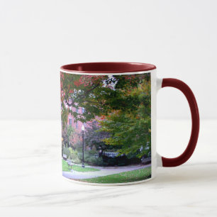 Fall in the Public Garden Mug