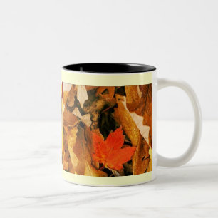 Fall into Autumn Leaves Mug