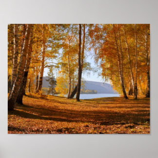 Fall into Fall Poster