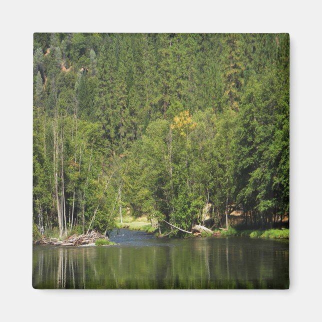 Fall is coming .... magnet (Front)