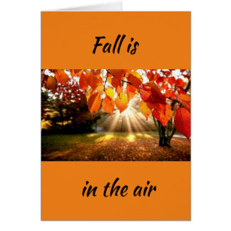 FALL IS IN THE AIR/LOVE IS IN MY HEART