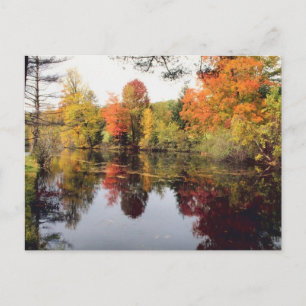 Fall Lake Postcard