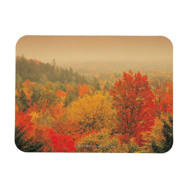 Fall landscape, New Hampshire, USA Magnet (Horizontal)